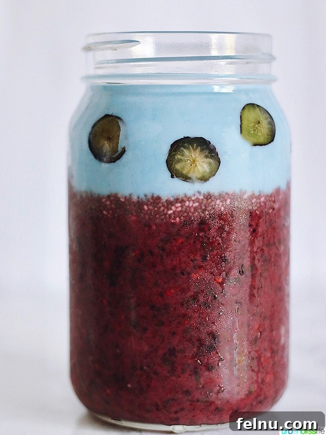 The Ultimate Triple Berry Chia Smoothie for Any Diet - Felnu