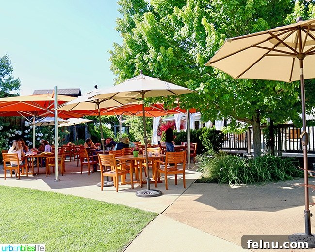 Uncork Anderson Valley: The Best Wineries to Explore 16 Goldeneye Winery patio with vineyard views in Anderson Valley