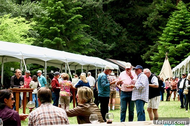 Uncork Anderson Valley: The Best Wineries to Explore 20 Crowd at Anderson Valley Pinot Noir Festival