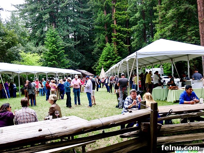 Uncork Anderson Valley: The Best Wineries to Explore 28 Group of people enjoying the Anderson Valley Pinot Noir Festival