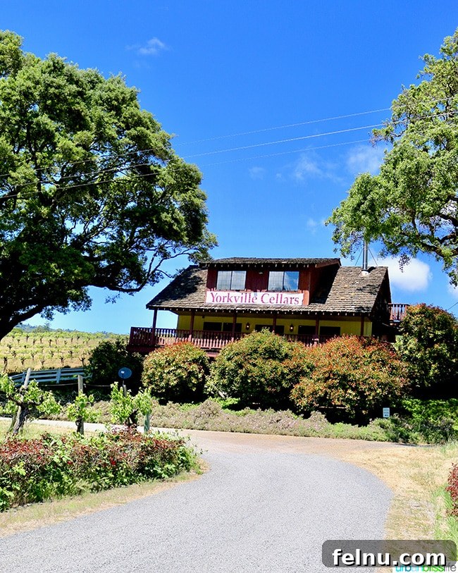 Uncork Anderson Valley: The Best Wineries to Explore 4 Yorkville Cellars front entrance in Anderson Valley