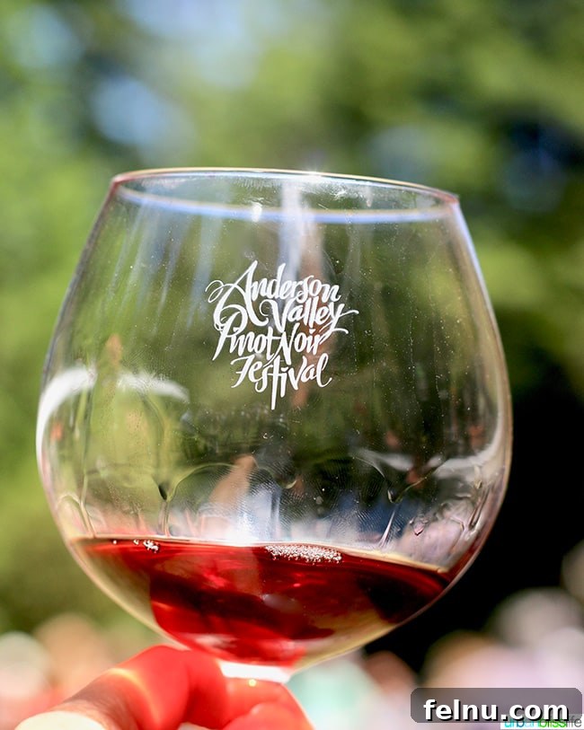 Unveiling Mendocino: California's Pacific Sanctuary 4 Anderson Valley WIne Festival glass