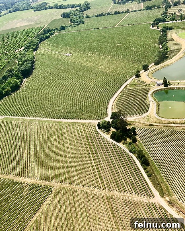 Unveiling Mendocino: California's Pacific Sanctuary 5 farmland views from airplane