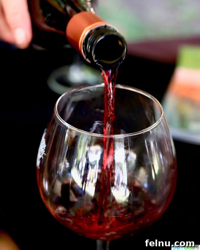 Unveiling Mendocino: California's Pacific Sanctuary 9 Anderson Valley Pinot Noir Festival Red Wine Pour