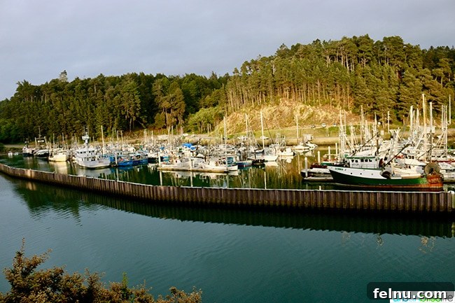 Unveiling Mendocino: California's Pacific Sanctuary 10 Fort Bragg Harbor