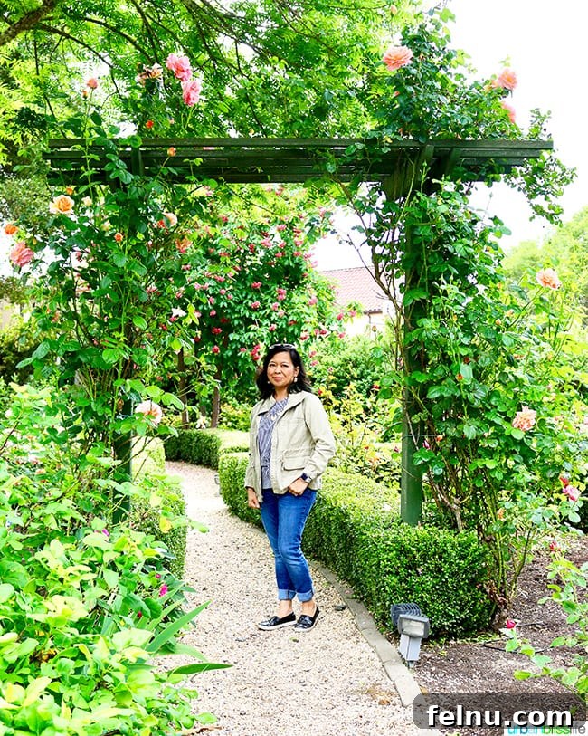The Madrones An Idyllic Mendocino County Escape 12 The stunning Marlynn Rose Garden, a highlight of The Madrones property.
