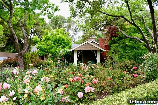 The Madrones An Idyllic Mendocino County Escape 8 The Madrones Rose Garden House, offering additional private accommodations.