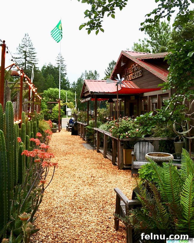 The Puzzled Piglet 14 The Bewildered Pig's exterior, surrounded by lush greenery and plants