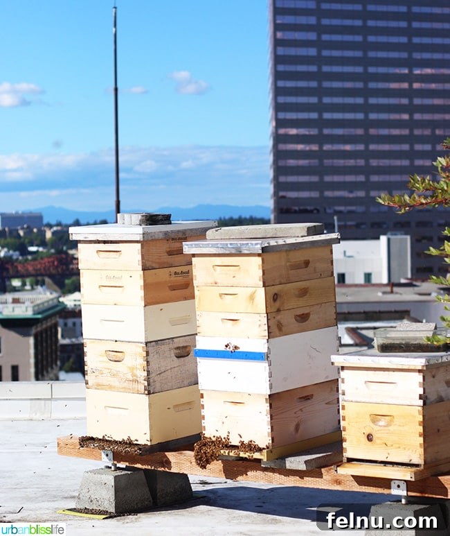 Cool Summer Dairy-Free Ice Cream at Departure Portland 12 Active beehives nestled within the vibrant plant life of Departure restaurant's rooftop garden, symbolizing sustainability and fresh ingredients.
