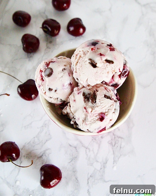 Cherry Chocolate Swirl Chocolate Chip Ice Cream 2 Homemade Cherry Chocolate Chip Ice Cream