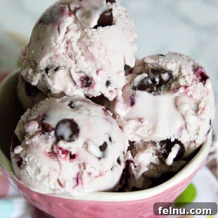 Cherry Chocolate Chip Ice Cream