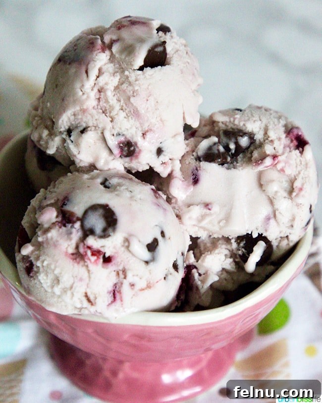 Cherry Chocolate Swirl Chocolate Chip Ice Cream 4 Cherry Chocolate Chip Ice Cream in a bowl