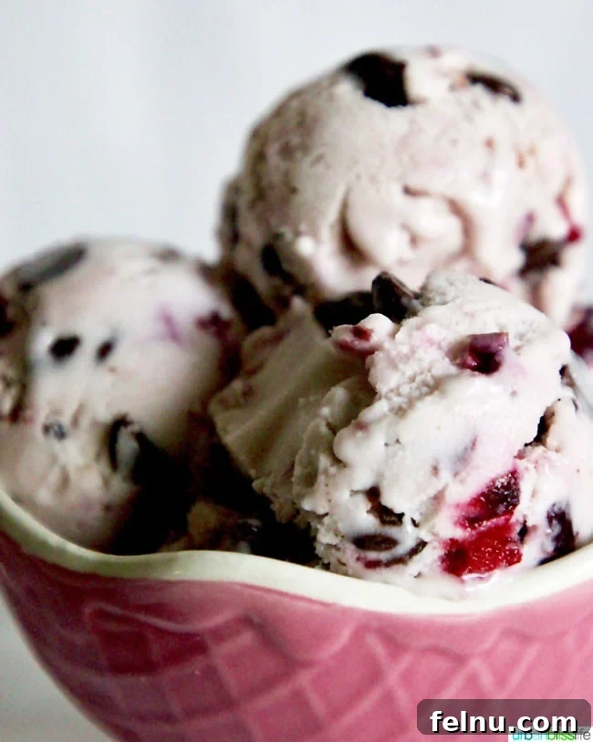 Cherry Chocolate Swirl Chocolate Chip Ice Cream 5 Churning Cherry Chocolate Chip Vegan Ice Cream