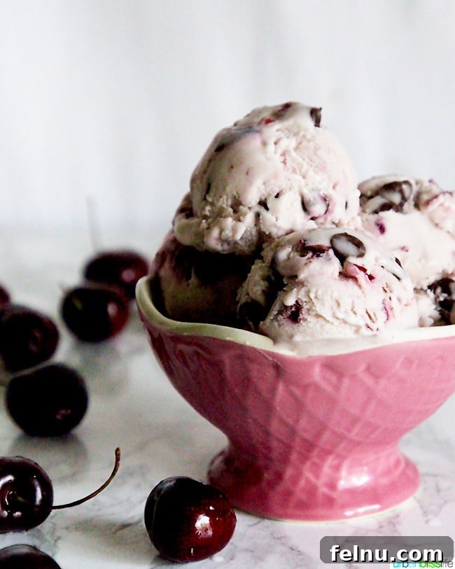Cherry Chocolate Swirl Chocolate Chip Ice Cream 6 Serving Cherry Chocolate Chip Vegan Ice Cream