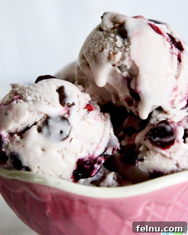 Cherry Chocolate Swirl Chocolate Chip Ice Cream 7 Kitchen Tools for Making Ice Cream
