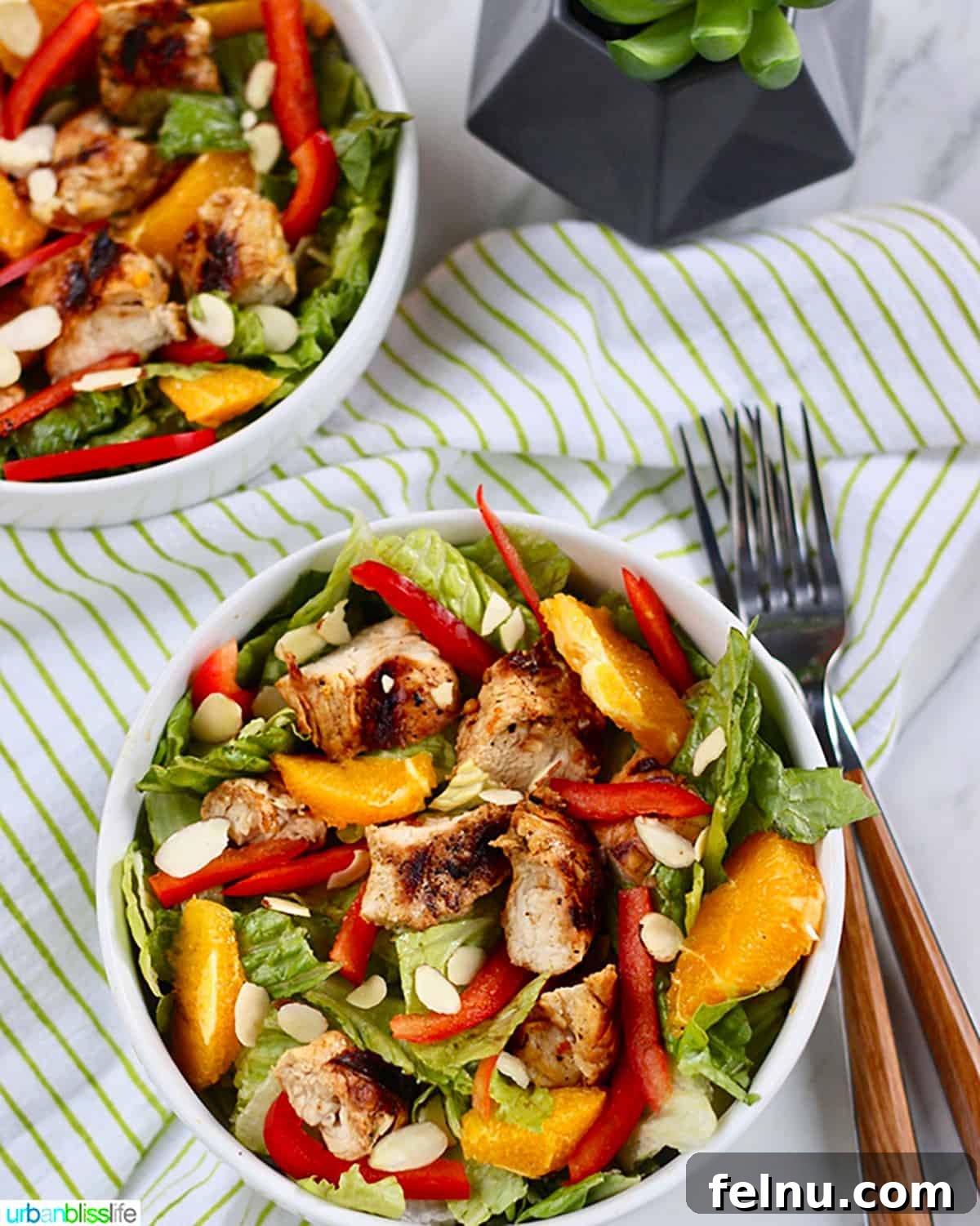 Mandarin Orange Chicken Salad
Zesty Citrus Chicken Salad 2 Mandarin Orange Chicken Salad