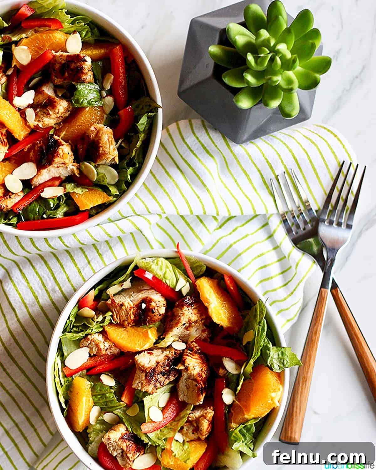 Mandarin Orange Chicken Salad
Zesty Citrus Chicken Salad 7 Bowls of Mandarin Orange Chicken Salad