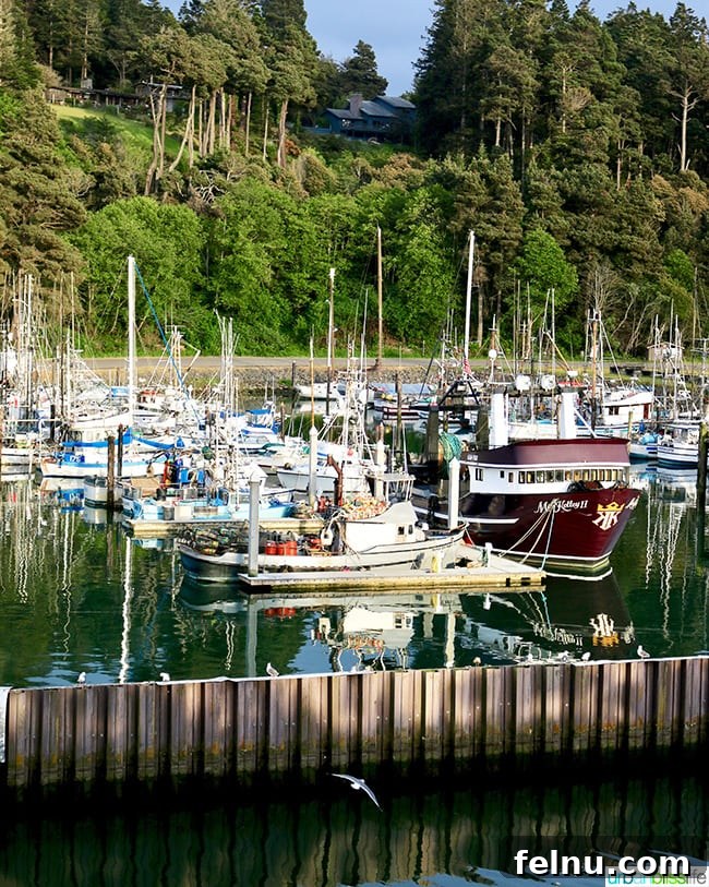 Noyo Harbor Inn: Your Coastal Escape in Fort Bragg 13 Noyo Harbor, Fort Bragg, California