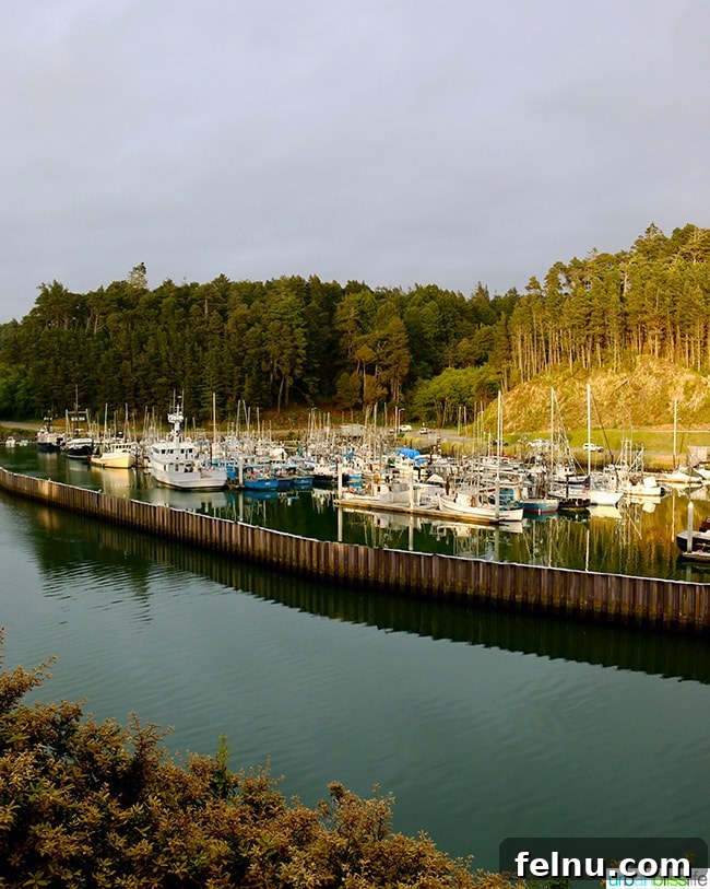 Noyo Harbor Inn: Your Coastal Escape in Fort Bragg 14 Noyo Harbor, Fort Bragg, California