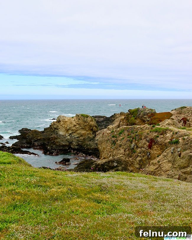 Fort Bragg California Northern Coast Bliss 11 Pomo Bluffs Fort Bragg, California