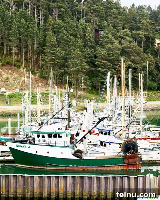 Fort Bragg California Northern Coast Bliss 7 Fishing boats at Noyo Harbor Fort Bragg