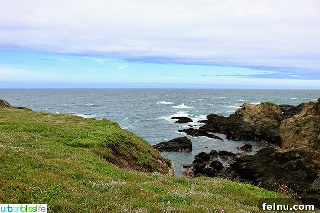 Fort Bragg California Northern Coast Bliss 10 Pomo Bluffs Fort Bragg, California