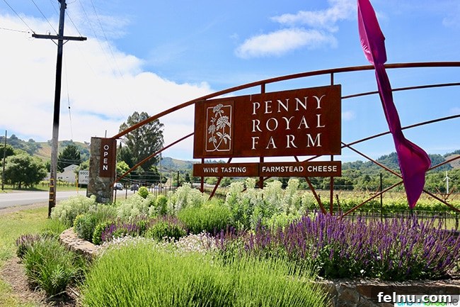 Pennyroyal Farm: Crafting California's Best from Dairy to Vine 2 Penny Royal Farm Sign welcoming visitors