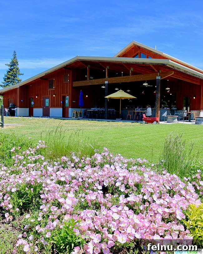 Pennyroyal Farm: Crafting California's Best from Dairy to Vine 3 Penny Royal Farm with vibrant pink flowers