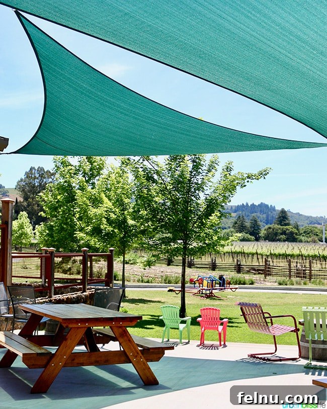 Pennyroyal Farm: Crafting California's Best from Dairy to Vine 4 Penny Royal Farm Outside Play Area for children