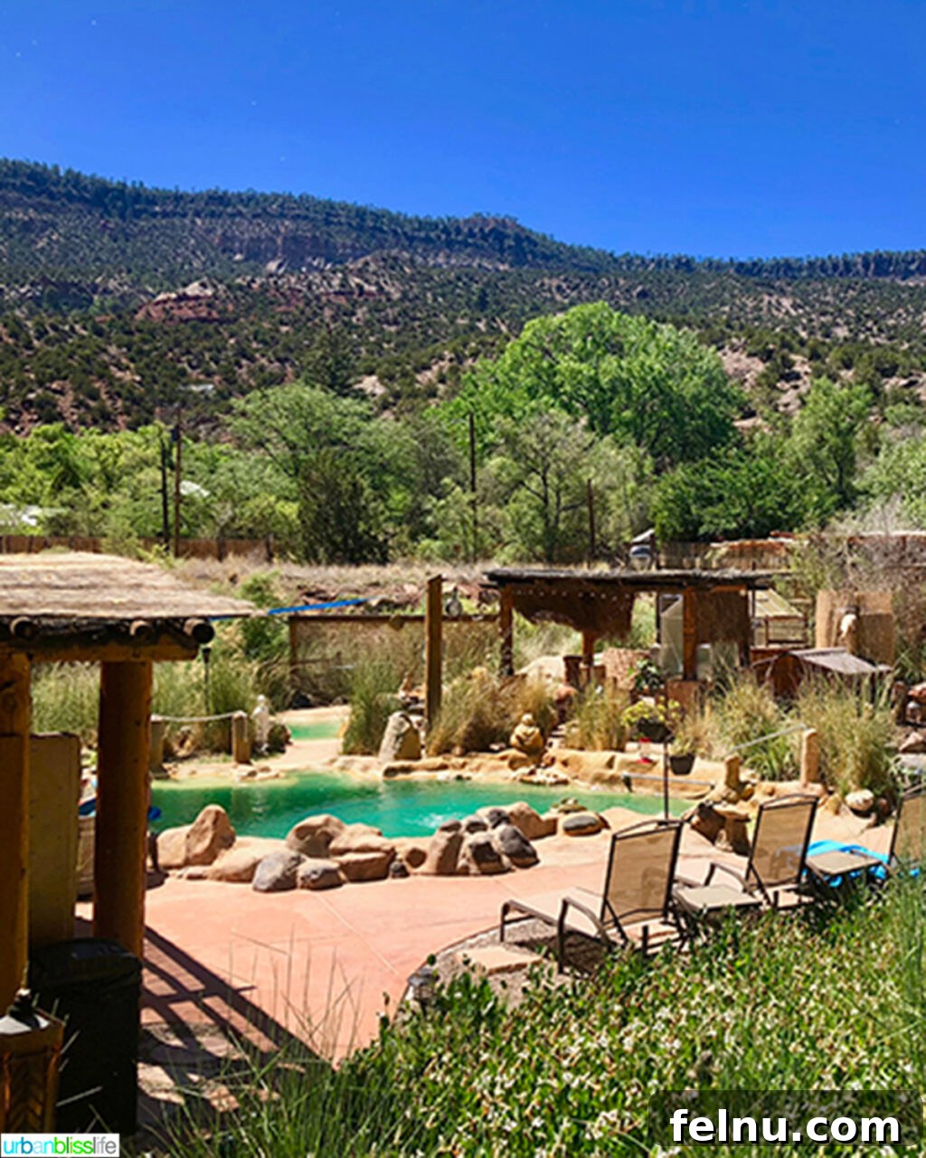10 Albuquerque Gems You Must Explore 13 Close-up of bubbling mineral-rich hot springs in the scenic New Mexico landscape
