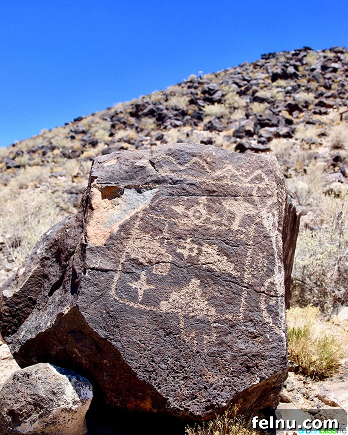 10 Albuquerque Gems You Must Explore 16 An ancient petroglyph carved into volcanic rock, depicting a human-like figure, in Albuquerque, New Mexico