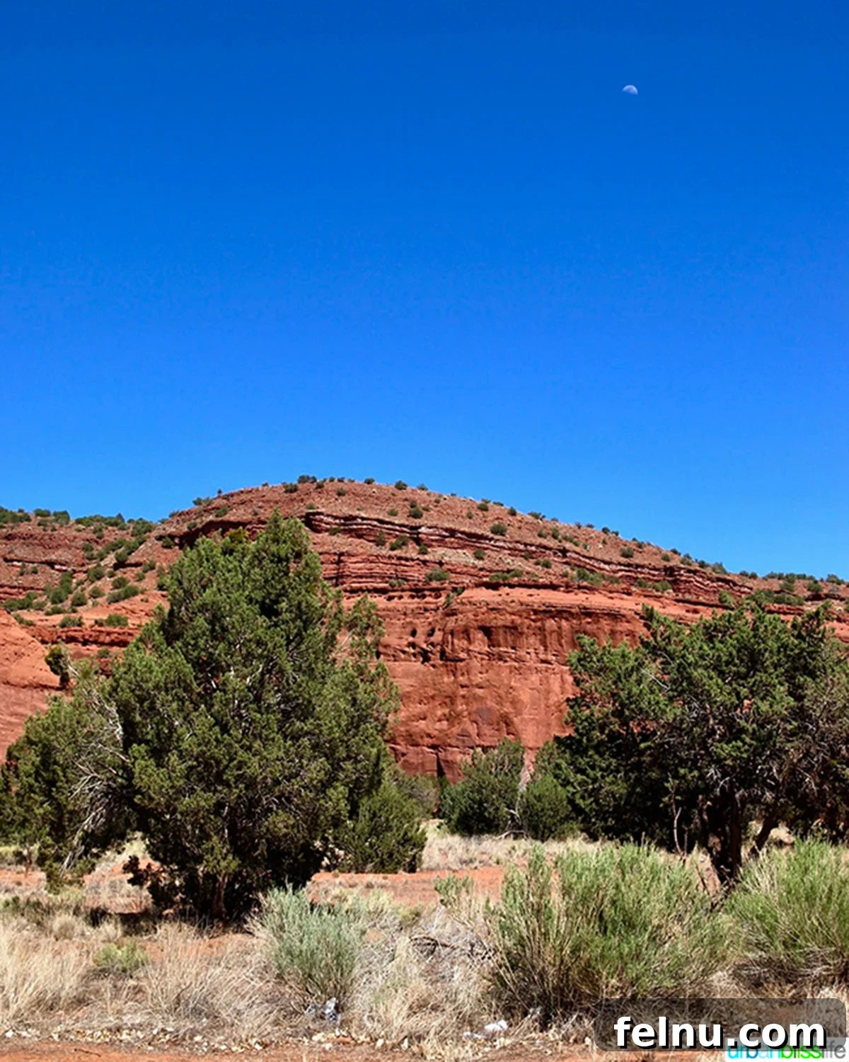 10 Albuquerque Gems You Must Explore 3 Striking red rock formations under a clear blue sky in Albuquerque