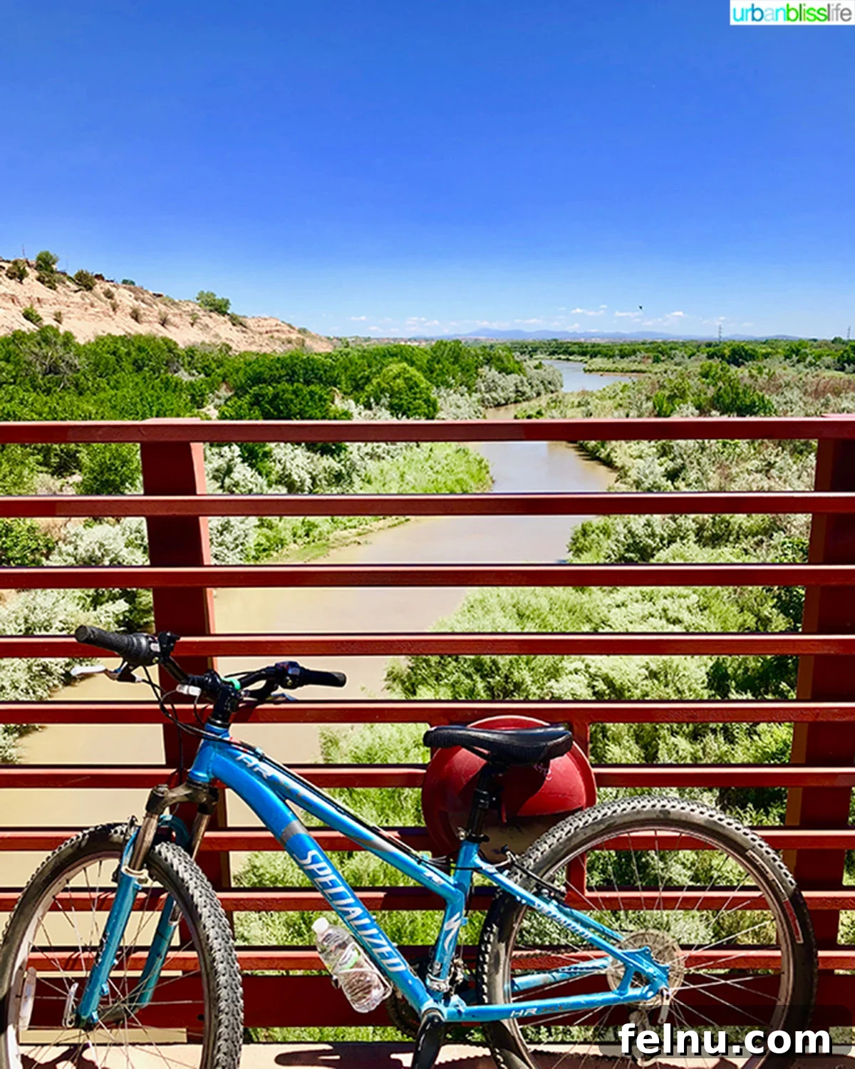 10 Albuquerque Gems You Must Explore 7 A group on a bike tour riding along the Rio Grande with mountains in the distance in Albuquerque