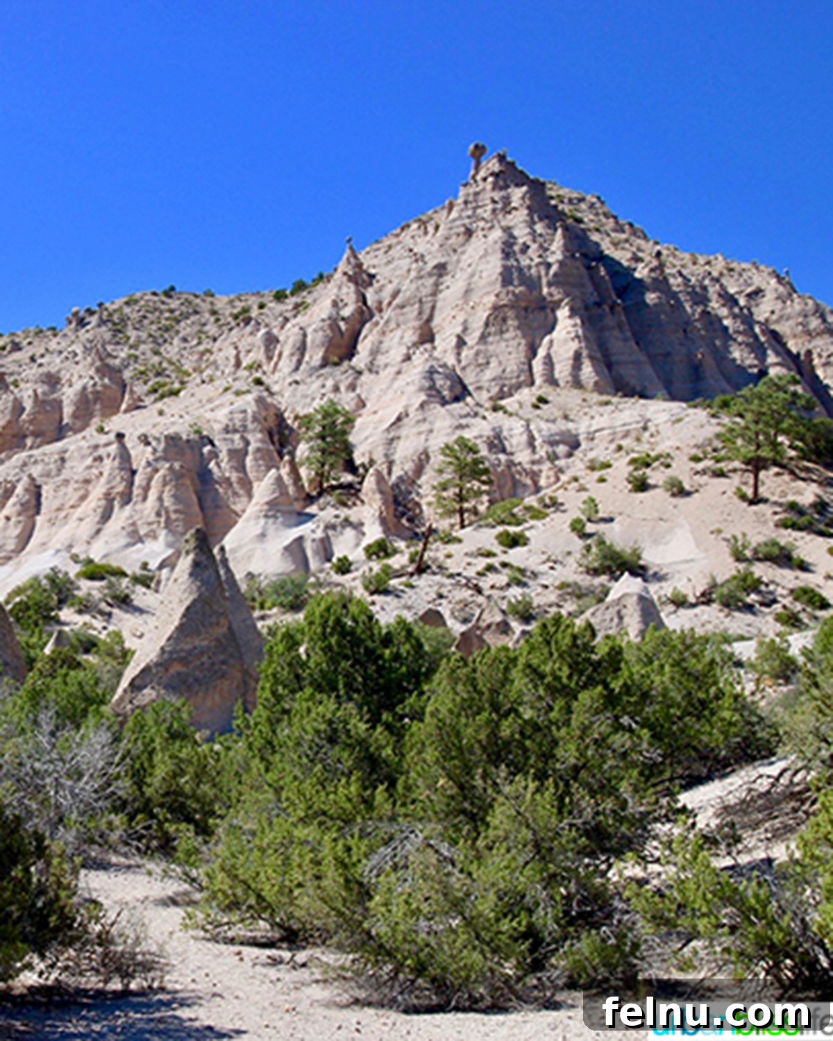 10 Albuquerque Gems You Must Explore 8 Majestic tent rocks formations at Kasha-Katuwe Tent Rocks National Monument under a clear sky