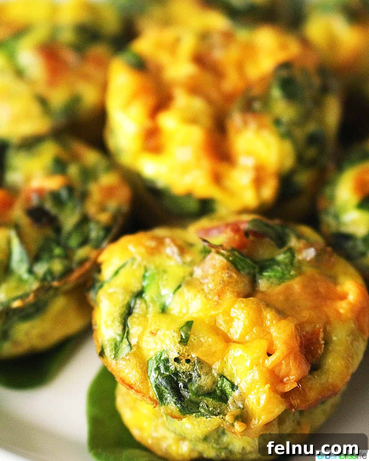 30+ Creative Lunchbox Ideas for a Successful School Year 3 Cheesy Spinach Mini Frittatas