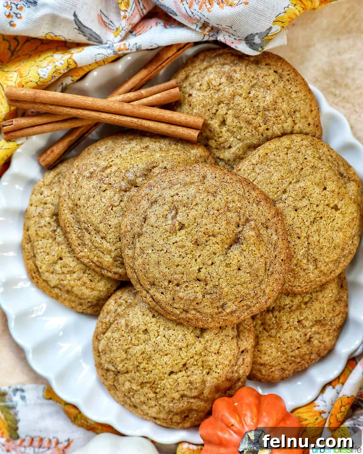 30+ Creative Lunchbox Ideas for a Successful School Year 4 Pumpkin Spice Cookies