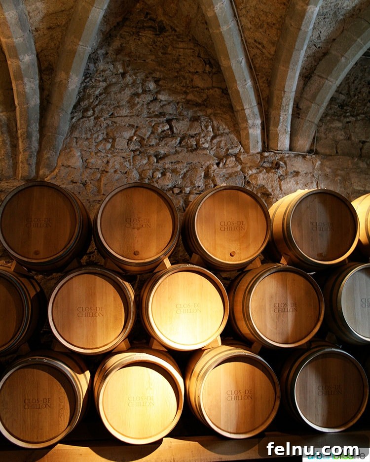 Chillon: Jewel of the Swiss Alps 11 wine barrels in the wine cellar at Chateau de Chillon