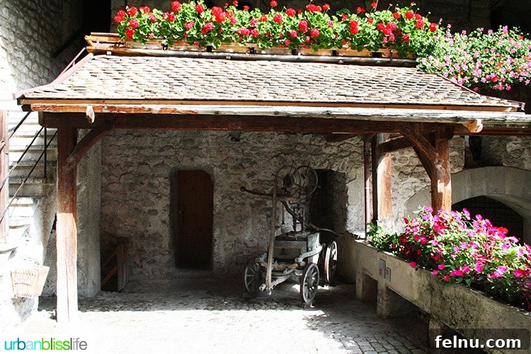 Chillon: Jewel of the Swiss Alps 4 flowers in Chateau de Chillon