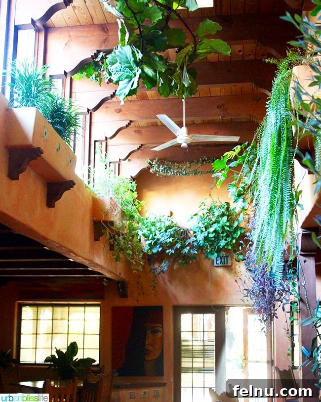 Albuquerque's Best Bites A Local's Food Guide 11 Lush garden dining room at El Pinto, a large and popular restaurant in Albuquerque.
