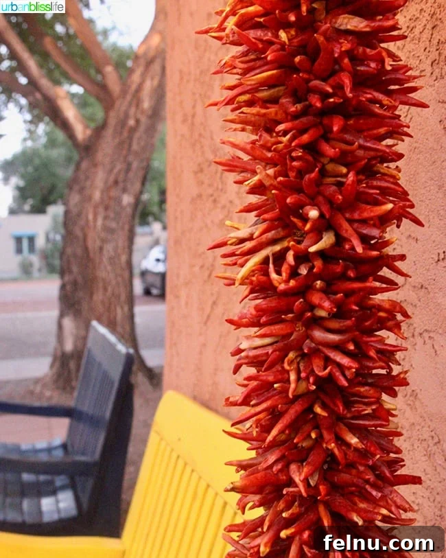 Albuquerque's Best Bites A Local's Food Guide 3 Vibrant red chiles hanging to dry, a common sight and culinary staple in Albuquerque, New Mexico.