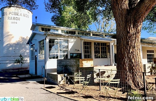 Albuquerque's Hidden Gem: Los Poblanos Historic Inn and Organic Farm 2 Los Poblanos Inn Albuquerque New Mexico