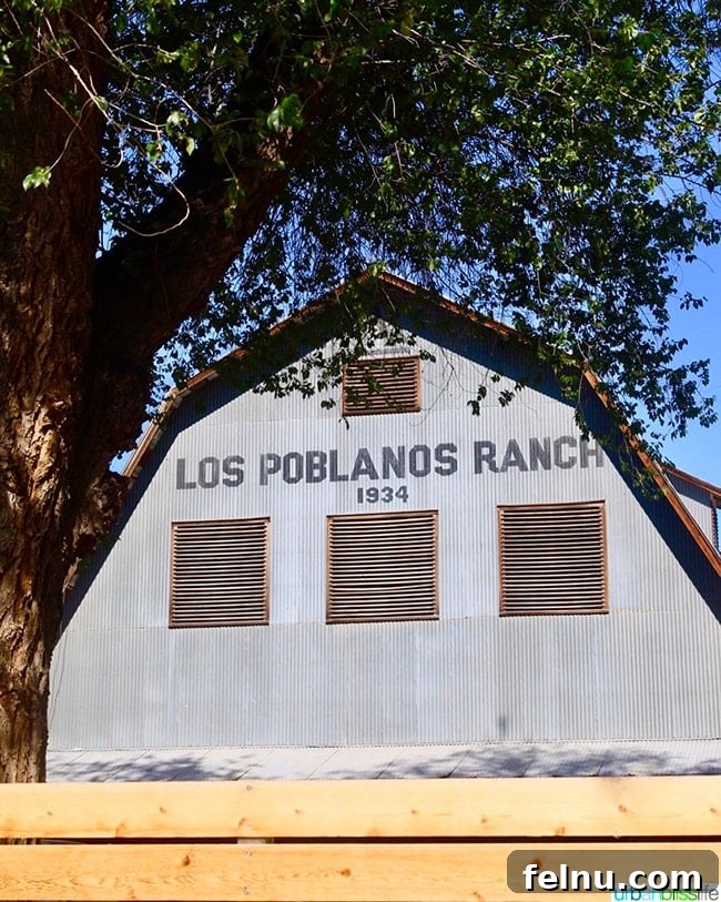 Albuquerque's Hidden Gem: Los Poblanos Historic Inn and Organic Farm 12 rustic barn and farmhouse at Los Poblanos Inn Albuquerque New Mexico