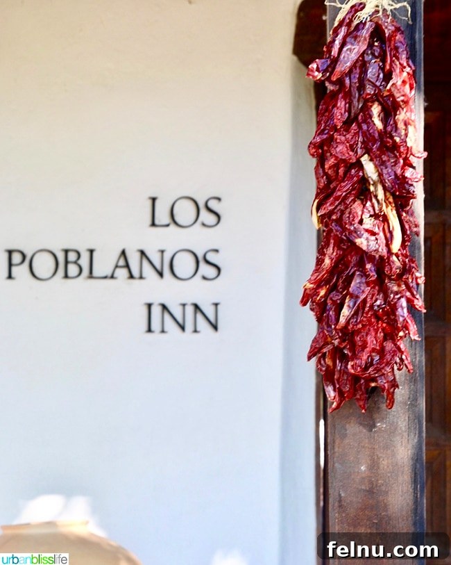 Experience Los Poblanos: Albuquerque's Historic Inn & Organic Farm 13 Fresh red chiles drying at Los Poblanos Inn, embodying New Mexico culture