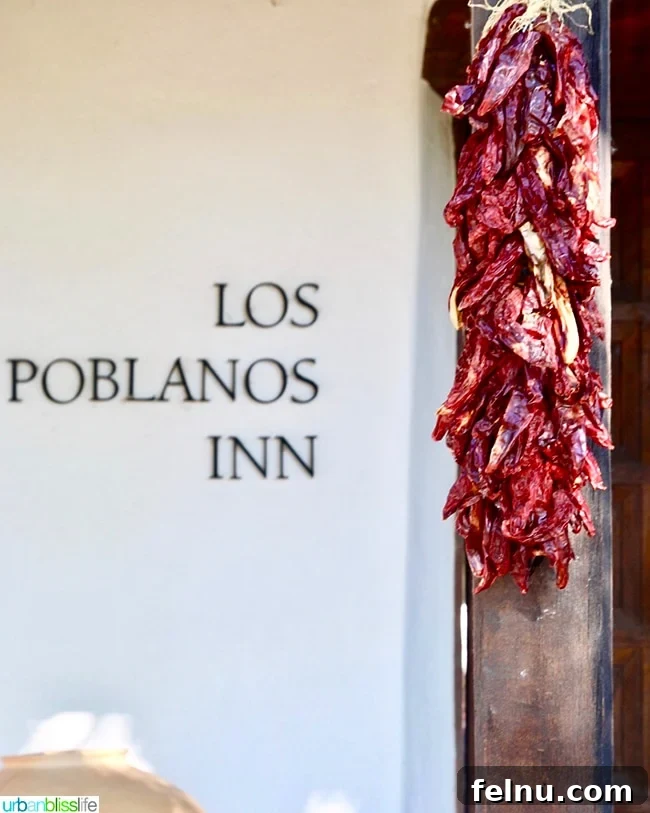 Albuquerque's Hidden Gem: Los Poblanos Historic Inn and Organic Farm 13 vibrant red chiles hanging at Los Poblanos Inn Albuquerque New Mexico