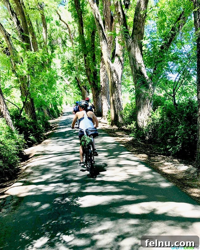 Experience Los Poblanos: Albuquerque's Historic Inn & Organic Farm 4 Scenic bike tour path in Albuquerque, New Mexico leading to Los Poblanos