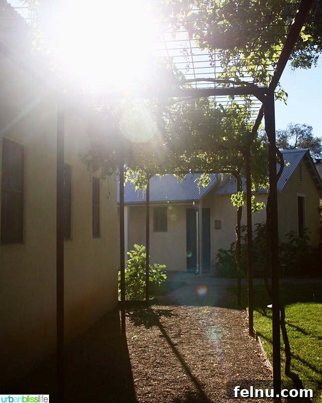 Experience Los Poblanos: Albuquerque's Historic Inn & Organic Farm 7 Sun-dappled pathway leading through the grounds of Los Poblanos Inn