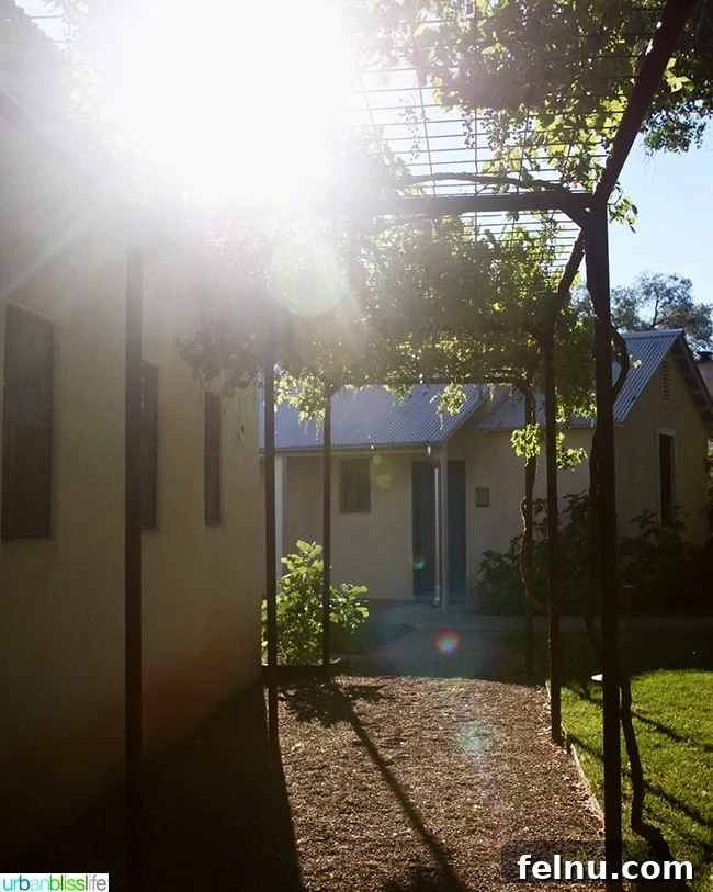 Albuquerque's Hidden Gem: Los Poblanos Historic Inn and Organic Farm 7 sunbeam illuminated path at Los Poblanos Inn Albuquerque New Mexico