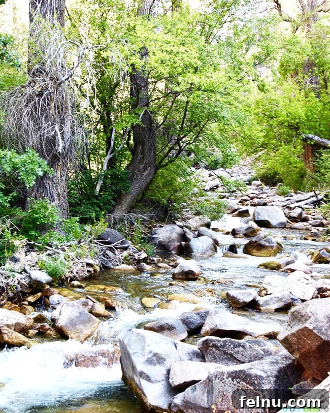 Colorado Peaks and Pavement 11 Hiking trail along a serene stream in Colorado