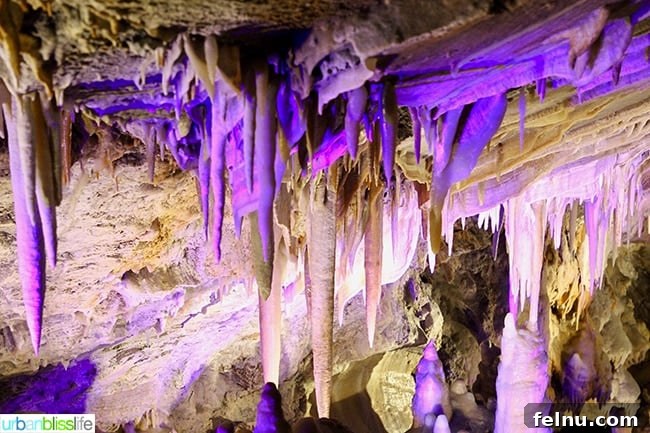 Colorado Peaks and Pavement 19 Close-up of stalactite formations in Glenwood Caverns cave tour