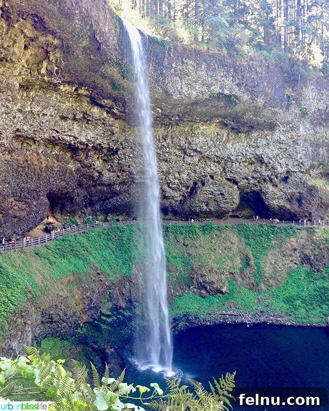 Silver Falls State Park Ten Falls Trail Journey 2 South Falls at Silver Falls State Park – a stunning 177-foot waterfall in Oregon's renowned state park